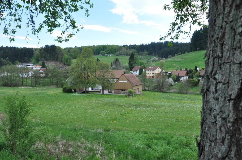 Ferienwohnungen Zur Muehle Mossautal Buitenkant foto